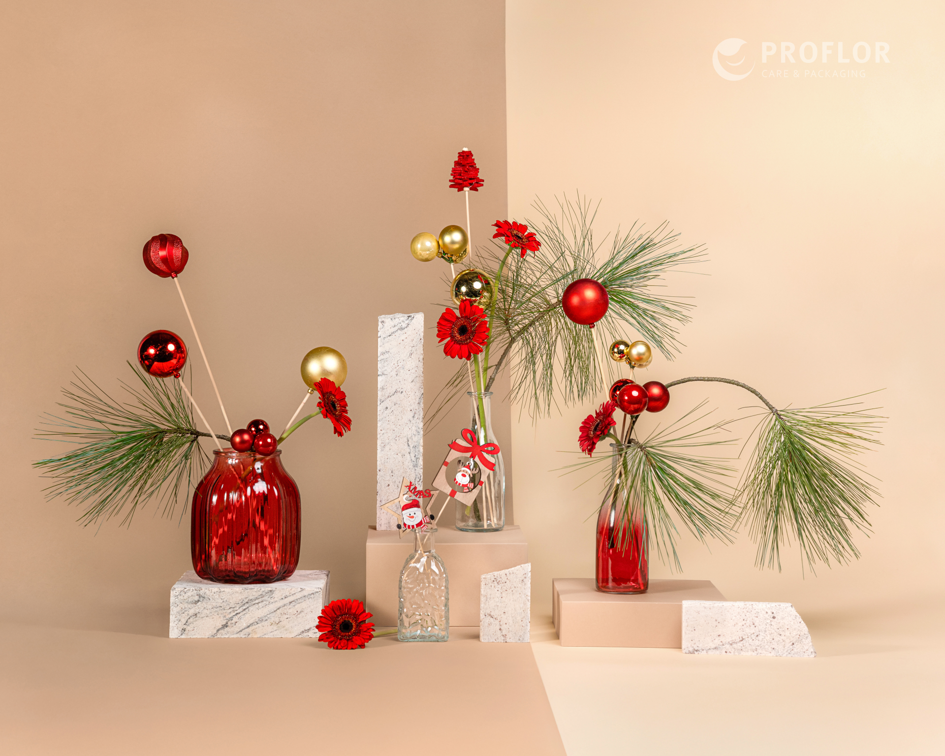 proflor picks x mas 2 watermark