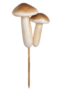 Bijsteker Mushroom x2 bruin/wit 12cm