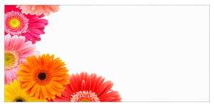 Bloemenkaart 10x5cm Gerbera