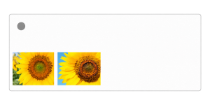 Bloemenkaart 10x5cm Zonnebloem