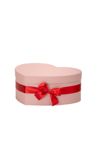 Hoedendoos karton Hart 20x25xH10cm roze