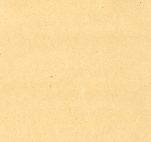 Zijde papier 50x75cm 17gr kraft a 480st.
