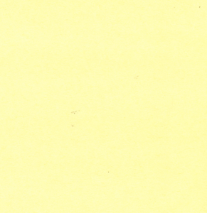 Zijde papier 50x75cm 17gr creme a 480st