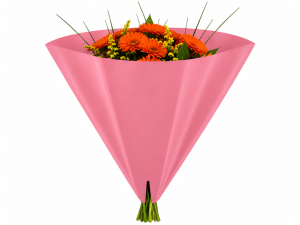 Luna 35x35cm OPP35 Perla Roze