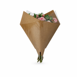 Elegant 50x44x10cm OPP35+recy Kraft45gr