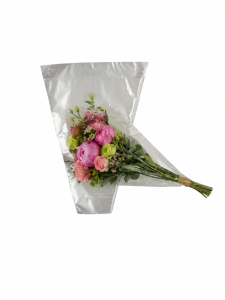 Hzn 50x40x15cm CPP30 transparant
