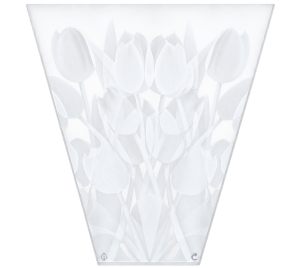 Hzn 38x30x12cm OPP35 Frosted tulips