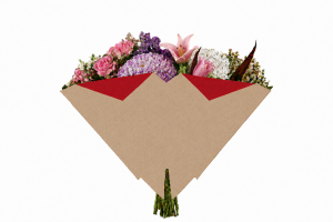 Hzn 40x40cm Blossomfold rood kraft 70gr.