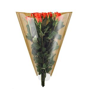 Hzn 55x13x3cm OPP30/45gr kraft gestr