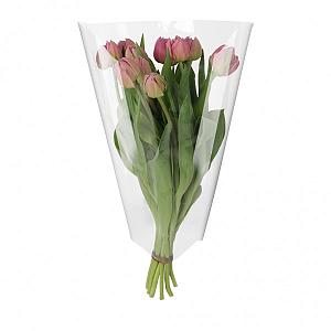 Hzn 58x30x10cm OPP35 transparant terra