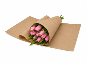 Kraft gebogen 33x53cm 50gr a 10kg