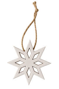Hanger Ster vilt wit 6x6cm+10cm touw