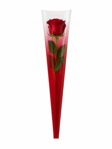 Hzn 65x13x3cm OPP35 Daily rood