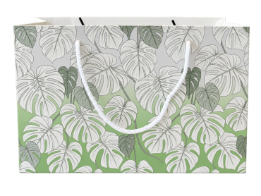Tas kraft Monstera 24x9xH15cm
