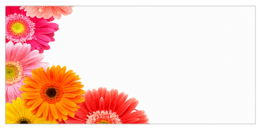 Bloemenkaart 10x5cm Gerbera