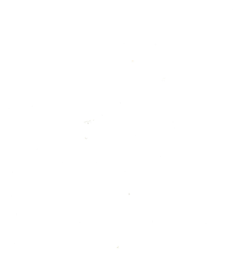 Zijde papier 50x75cm 17gr wit   a 480st.