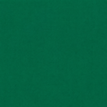 Zijde papier 50x75cm 17gr d.groen  480st