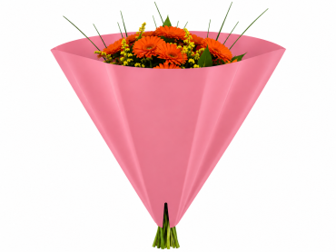 Luna 40x40cm OPP35 Perla Roze