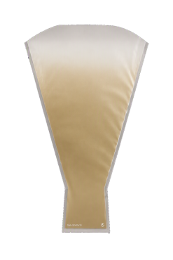 Hzn 52x35x10cm OPP35 Daily goud