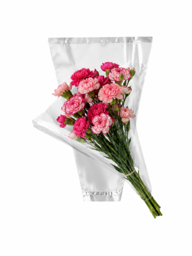 Hzn 48x45x15cm OPP35 transparant terra
