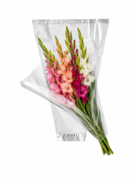 Hzn 58x35x10cm OPP35 transparant terra