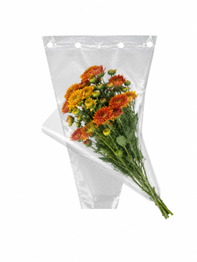 Hzn 55x50x18cm Cpp40 Hot needle