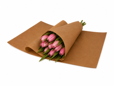 Kraft gebogen 33x53cm 50gr a 10kg