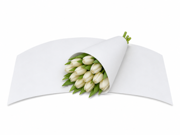 Kraft gebogen 35x85cm Wit 45gr 10kg