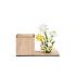 Planter hout Spring 23,5x10x16,8cm ES9