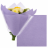 Non Woven vel 50x50cm lavendel