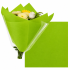 Non Woven vel 50x50cm lime groen