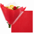 Non Woven vel 50x50cm rood
