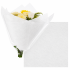 Non Woven vel 50x50cm wit