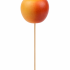 Bijsteker Appel Ø6cm 50cm st oranje/geel