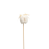 Bijsteker Giftbox pluche 5cm 50cm creme
