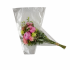 Hzn 40x20x8cm CPP30 transparant