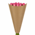 Hzn 48x25x10cm FSC recy kraft 45gr terra