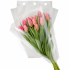 Hzn 38x30x12cm OPP35 transparant terra