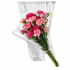 Hzn 48x45x15cm OPP35 transparant terra