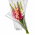 Hzn 58x40x15cm OPP35 transparant