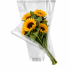 Hzn 68x35x10cm OPP35 transparant