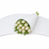 Kraft gebogen 35x85cm Wit 45gr 10kg