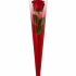 Hzn 65x13x3cm OPP35 Daily rood